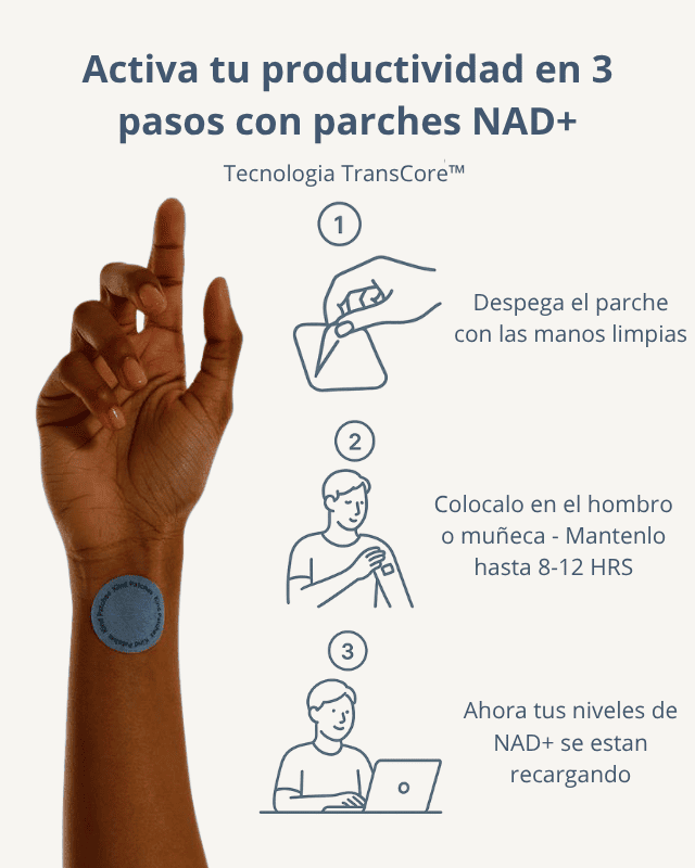 TransCore™  Parches NDA+